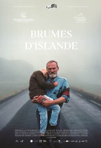 Brumes d'Islande