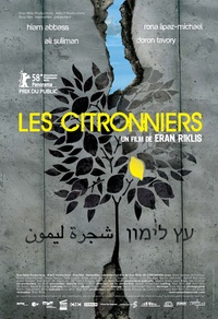 Les citronniers