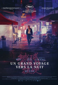 Un grand voyage vers la nuit