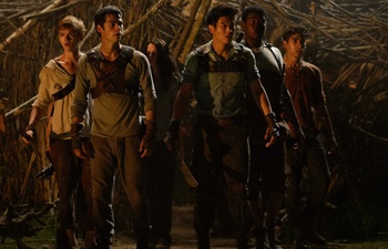 Sorties DVD : The Maze Runner