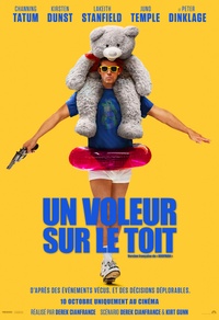 Un voleur sur le toit