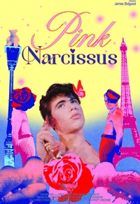 Pink Narcissus