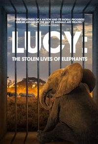 Lucy: The Stolen Lives of Elephants